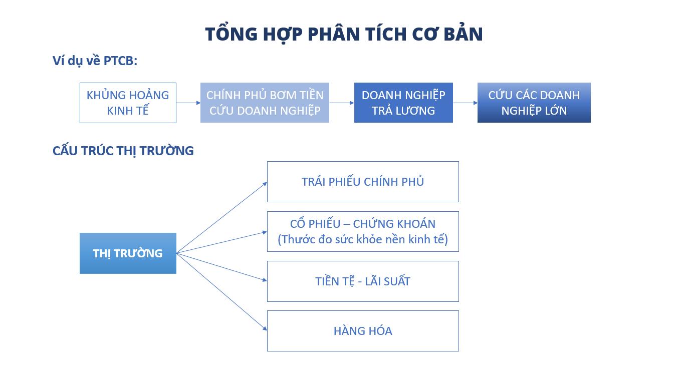Điểm nhấn PTCB - 1: Tổng hợp về phân tích cơ bản 